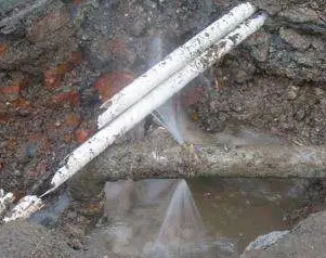 新津水管维修费用是多少
