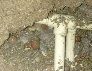 新津卫生间测漏