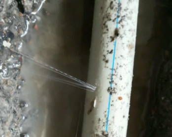 新津卫生间测漏水多少钱