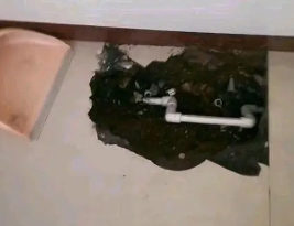 新津卫生间测漏水多少钱